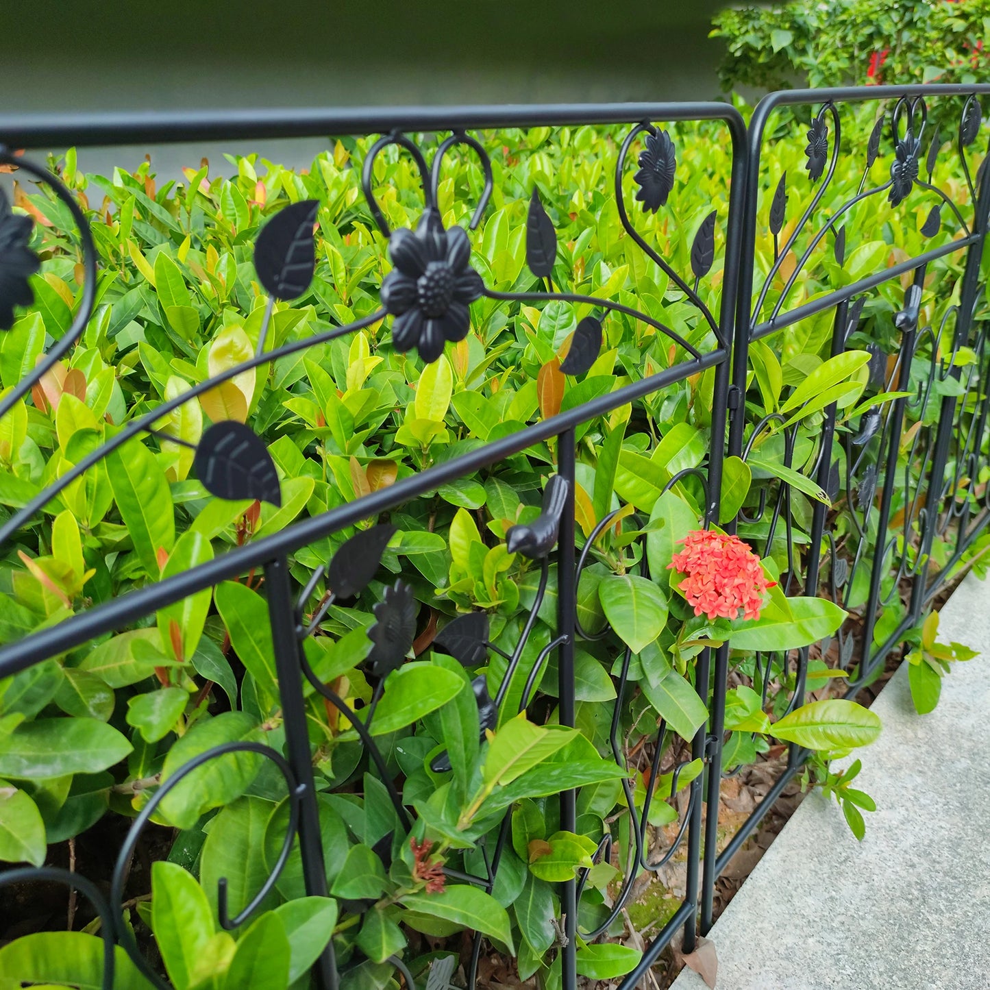 Decorative Powder Coated Steel Garden Fence Panel, 5 Pack Folding Border Fence