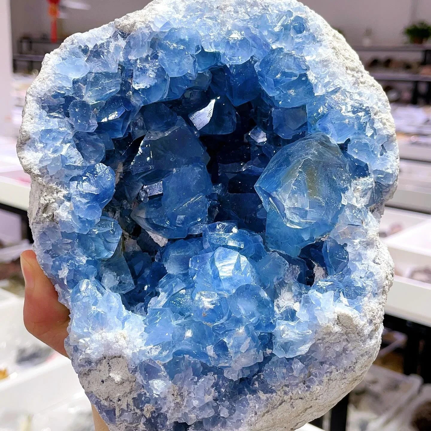 CrystalHola Celestite Geode Cluster Healing Crystal Stones