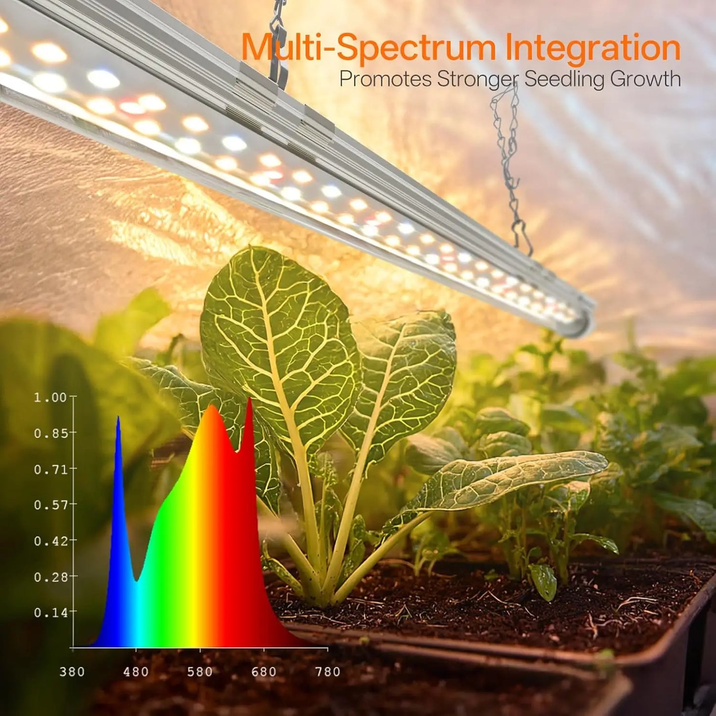 Indoor Greenhouse With Grow Light Mini Grow Tent Seed Starting