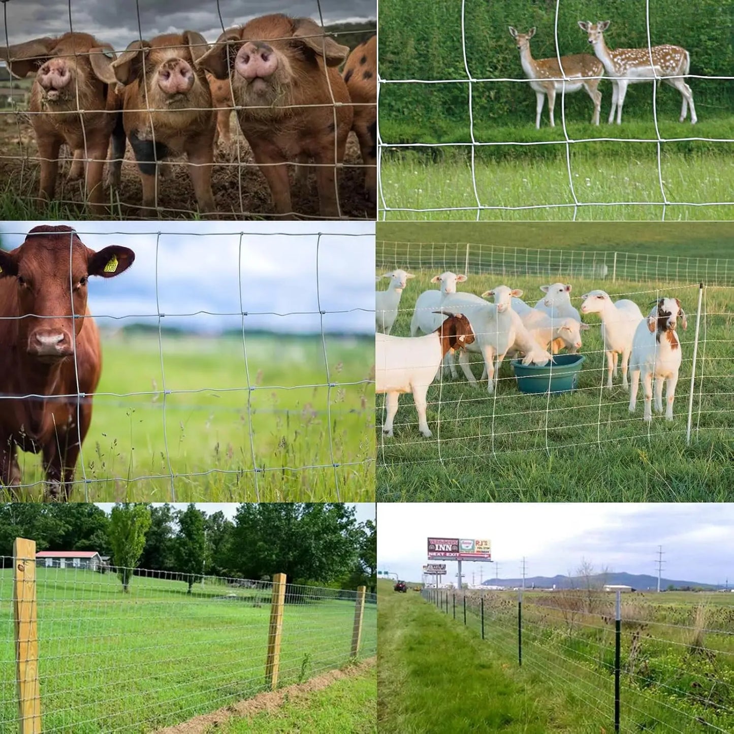 Galvanized Field Fence For Livestock, Deer And Goats, Heavy Duty