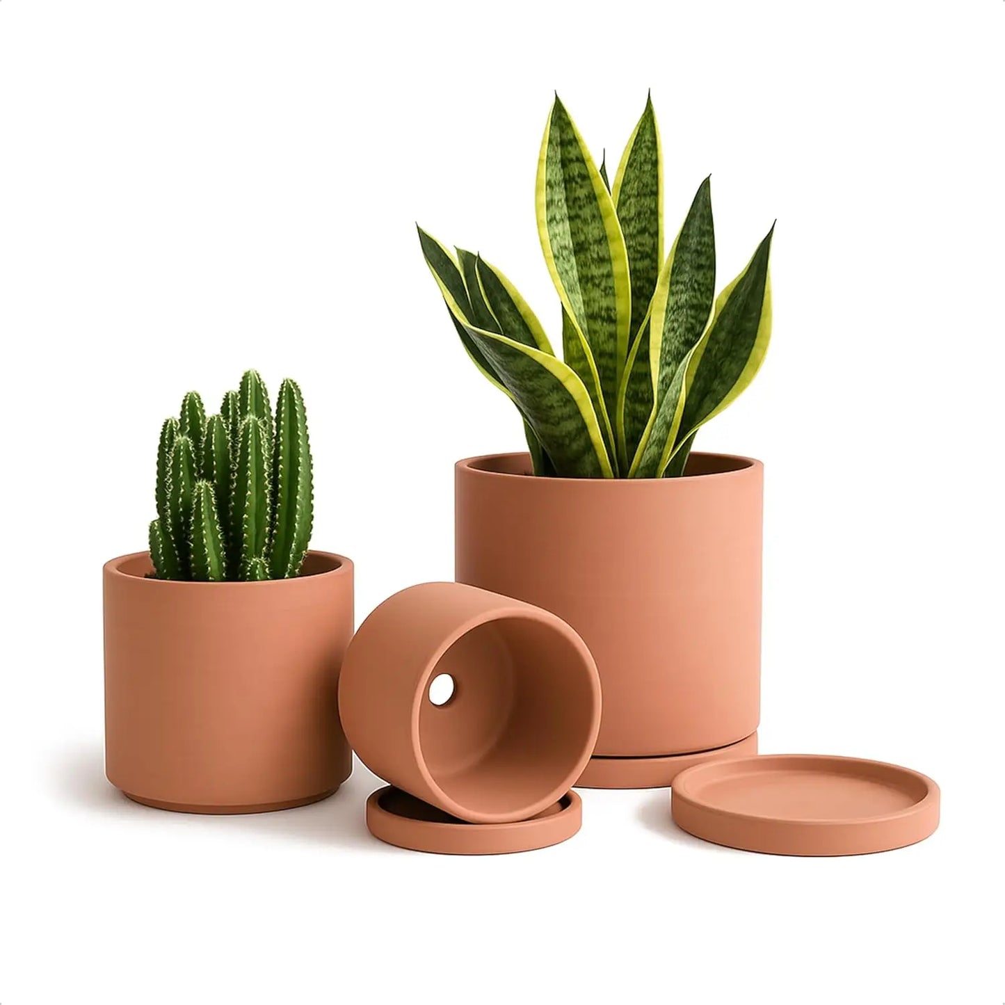 Terracotta Plant Pots With Saucer For Succulents And Cacti