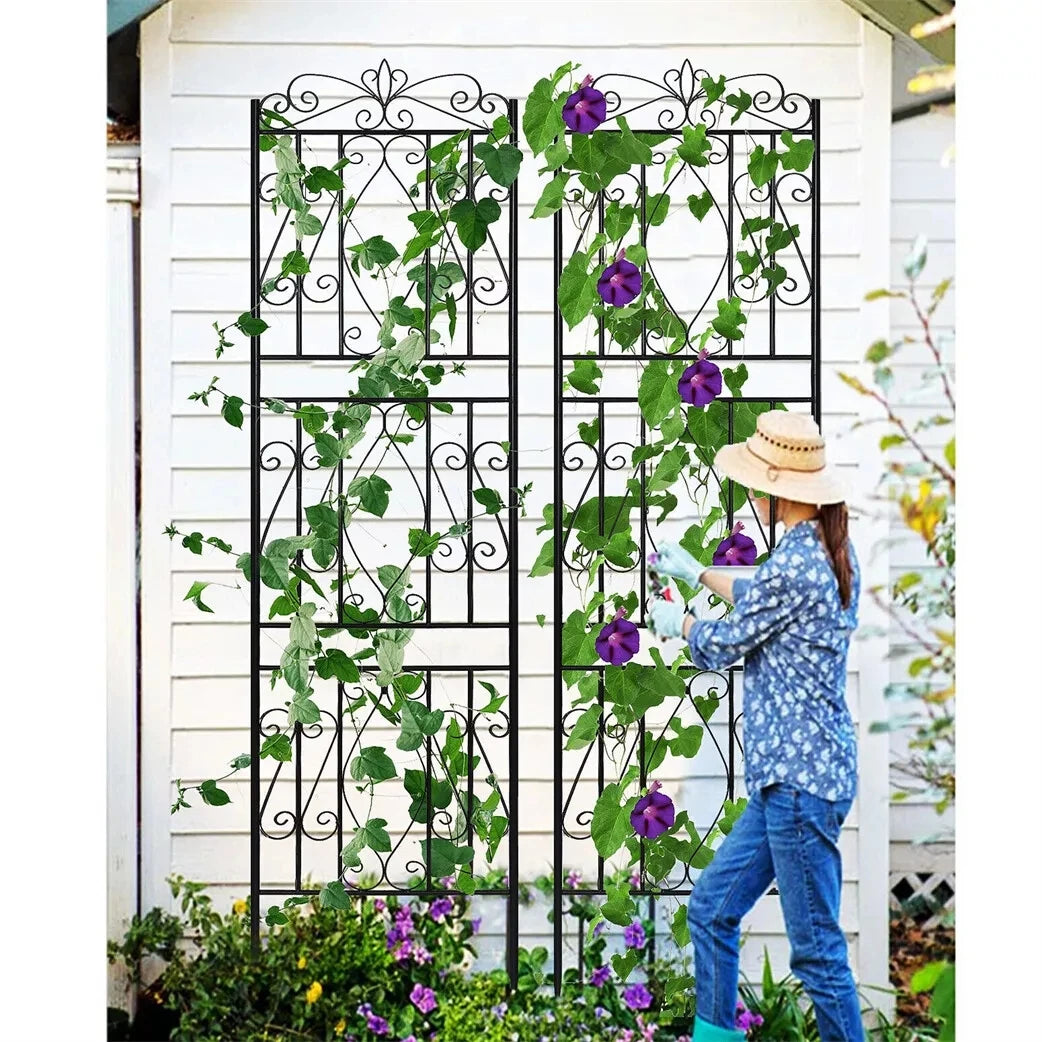 Metal Garden Trellis Fence Panels For Climbing Roses And Vines
