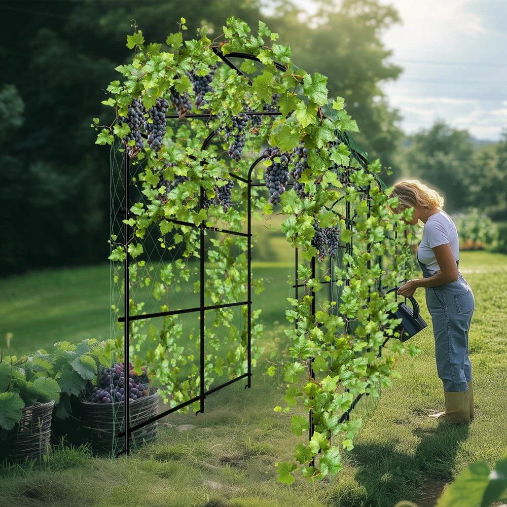 Wisfor U-Shaped Garden Trellis for Climbing Plants