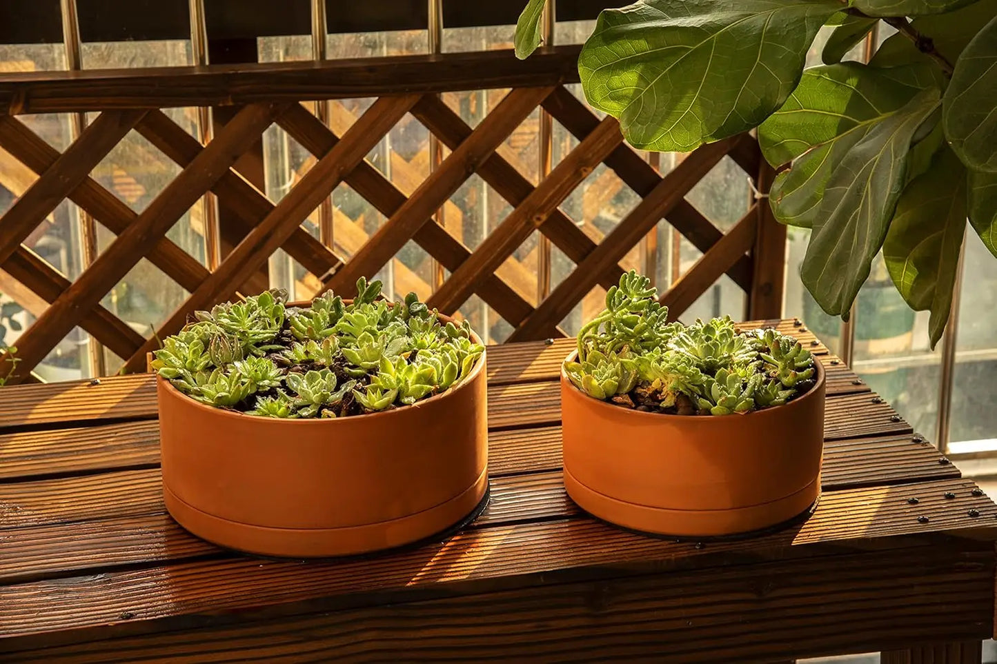 Terracotta Planter Pot With Drainage Hole And Saucer For Succulents