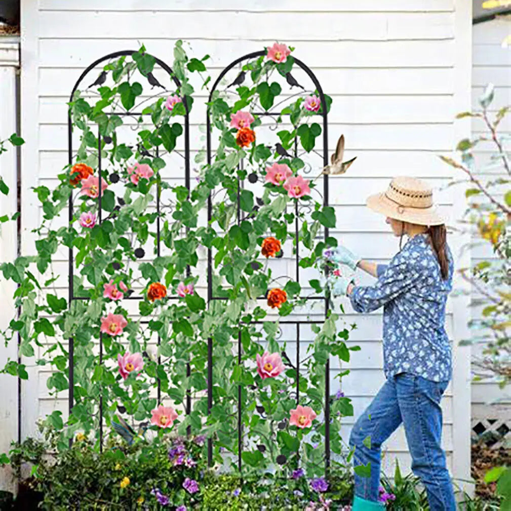 Metal Garden Trellis Fence Anti Rust Plant Support