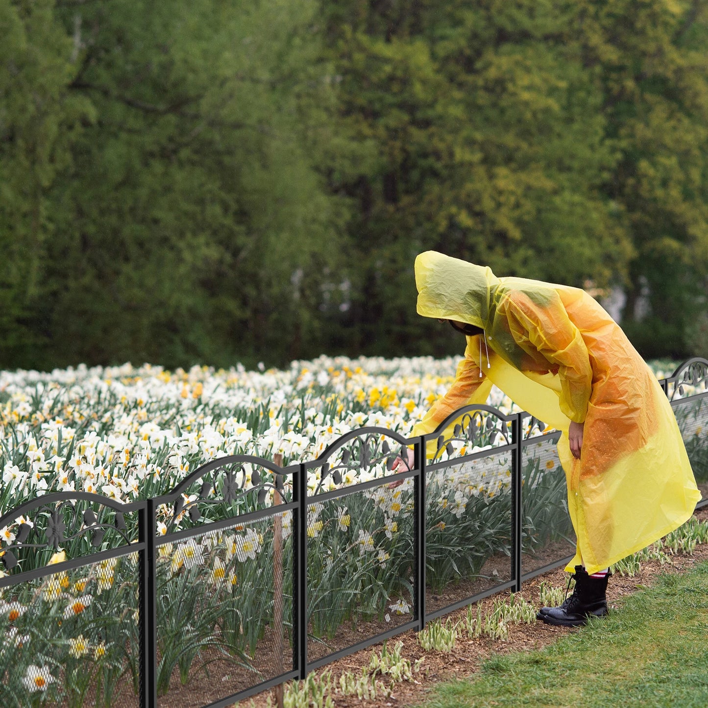 Feature Heavy Duty Garden Fence Panel 5 Pack Metal Iron