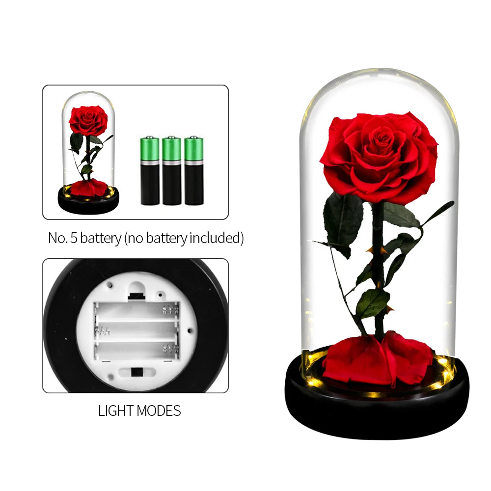 Forever Preserved Glass Rose With LED Light Valentines Day Gift