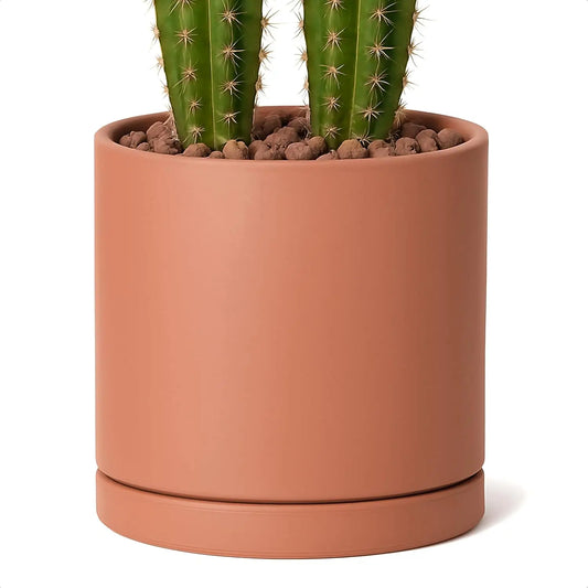 Terracotta Indoor Plant Pot With Drainage Hole And Saucer