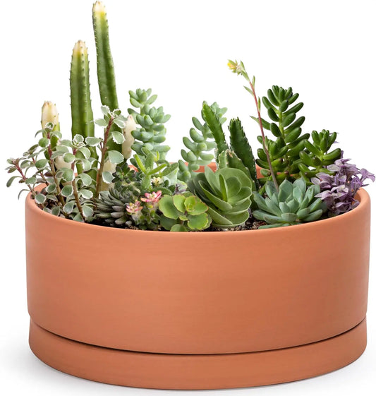 Terracotta Planter Pot With Drainage Hole And Saucer For Succulents
