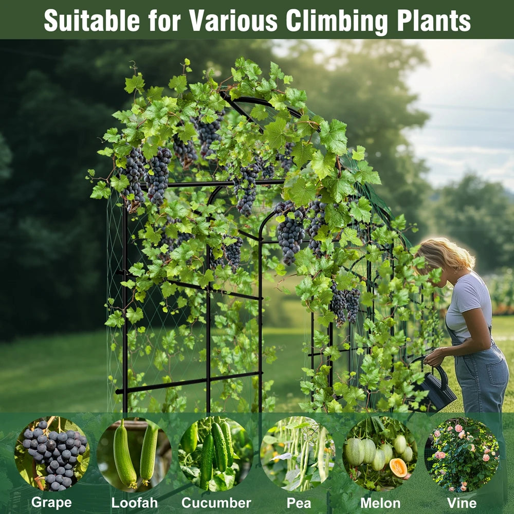 Wisfor U-Shaped Garden Trellis for Climbing Plants
