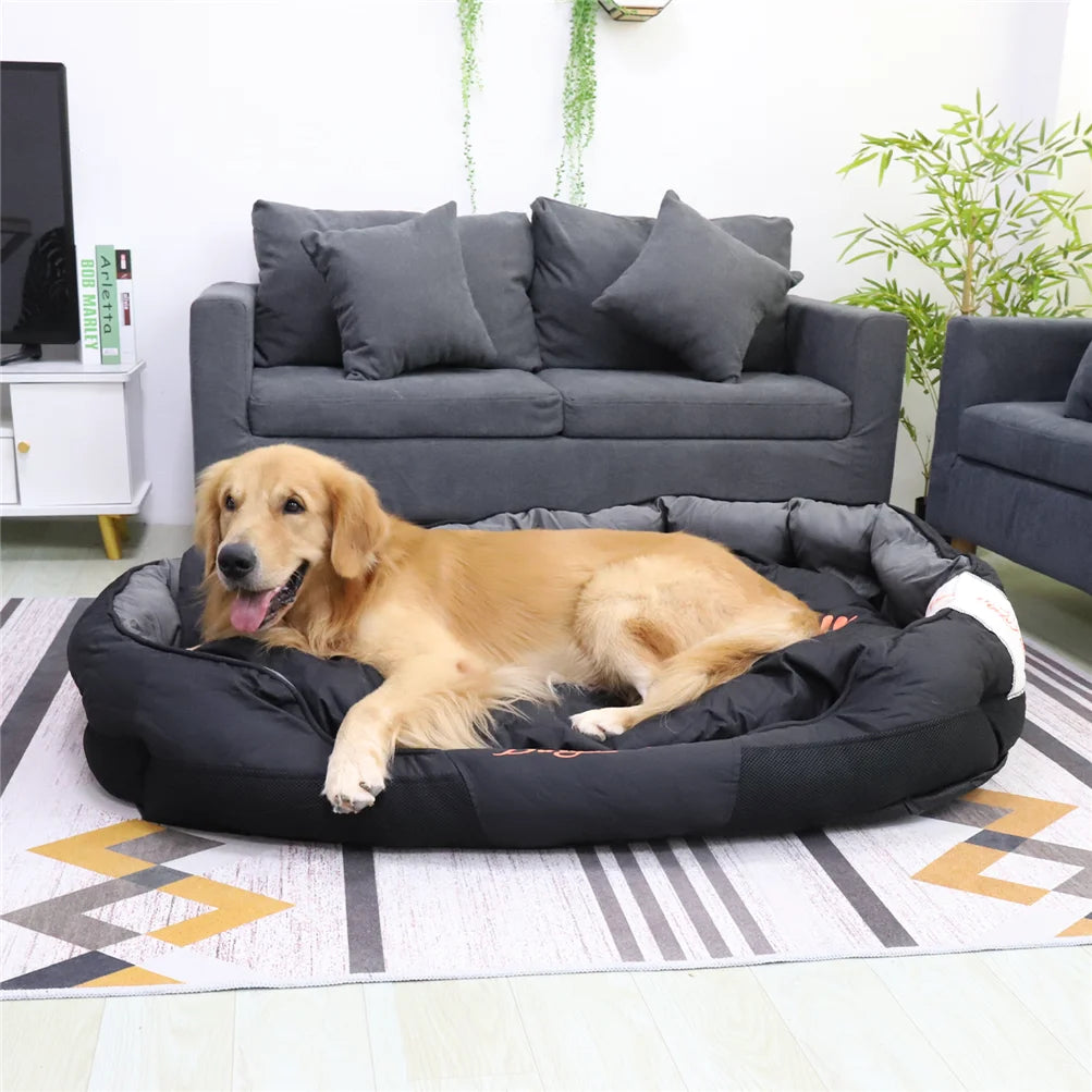 BINGOPAWCN All Season Calming Dog Bed Removable Cushion