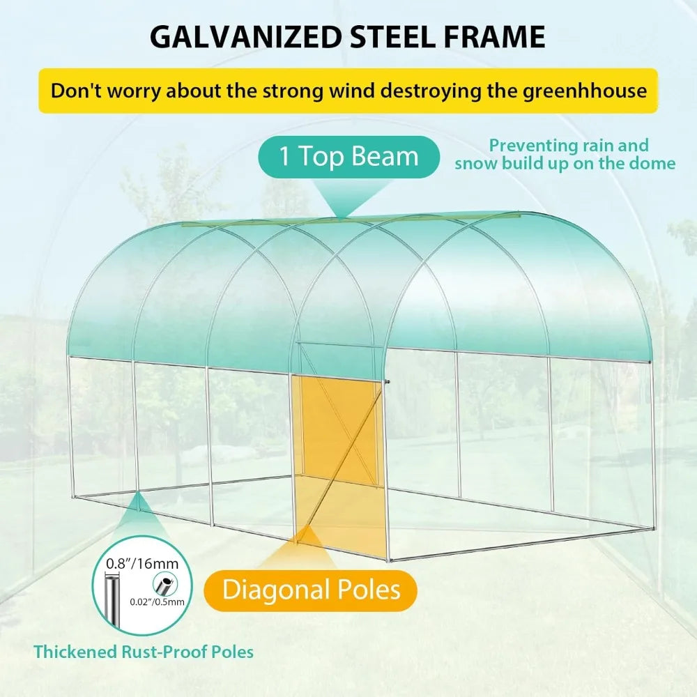 Color Garden Walk In Greenhouse with Dual Roll Up Doors