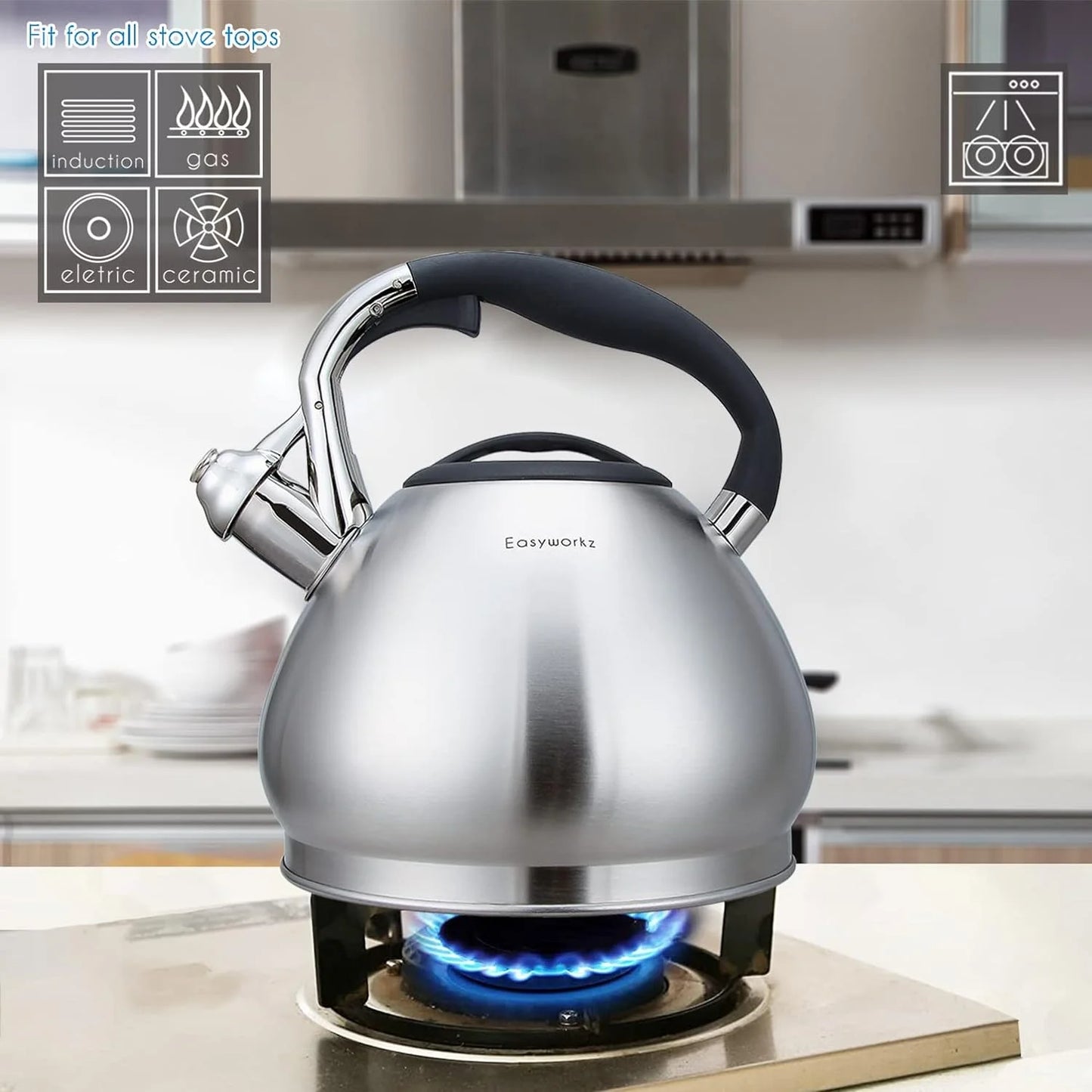 Easyworkz Whistling Stovetop Kettle Stainless Steel Tea Pot