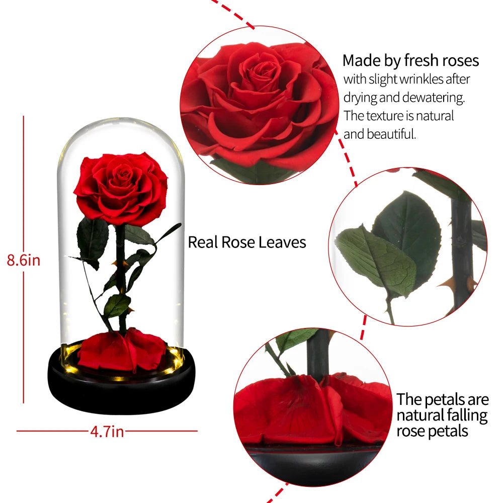 Forever Preserved Glass Rose With LED Light Valentines Day Gift