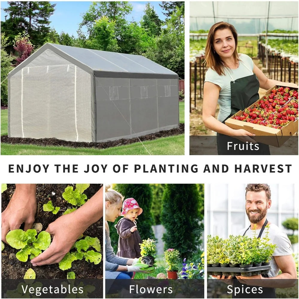 Color Walk-In Greenhouse for Outdoor Garden Shelter Durable Alloy Steel