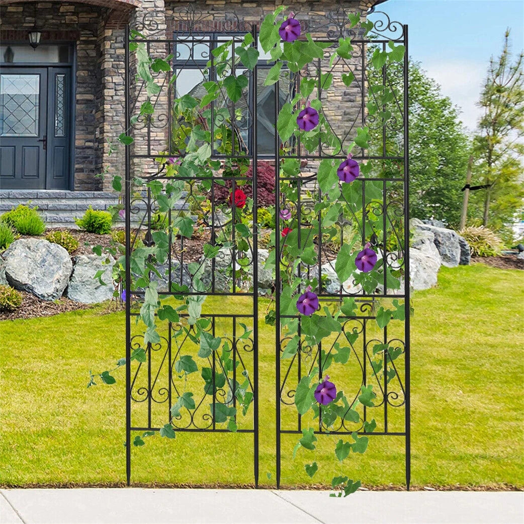 Metal Garden Trellis Fence Panels For Climbing Roses And Vines