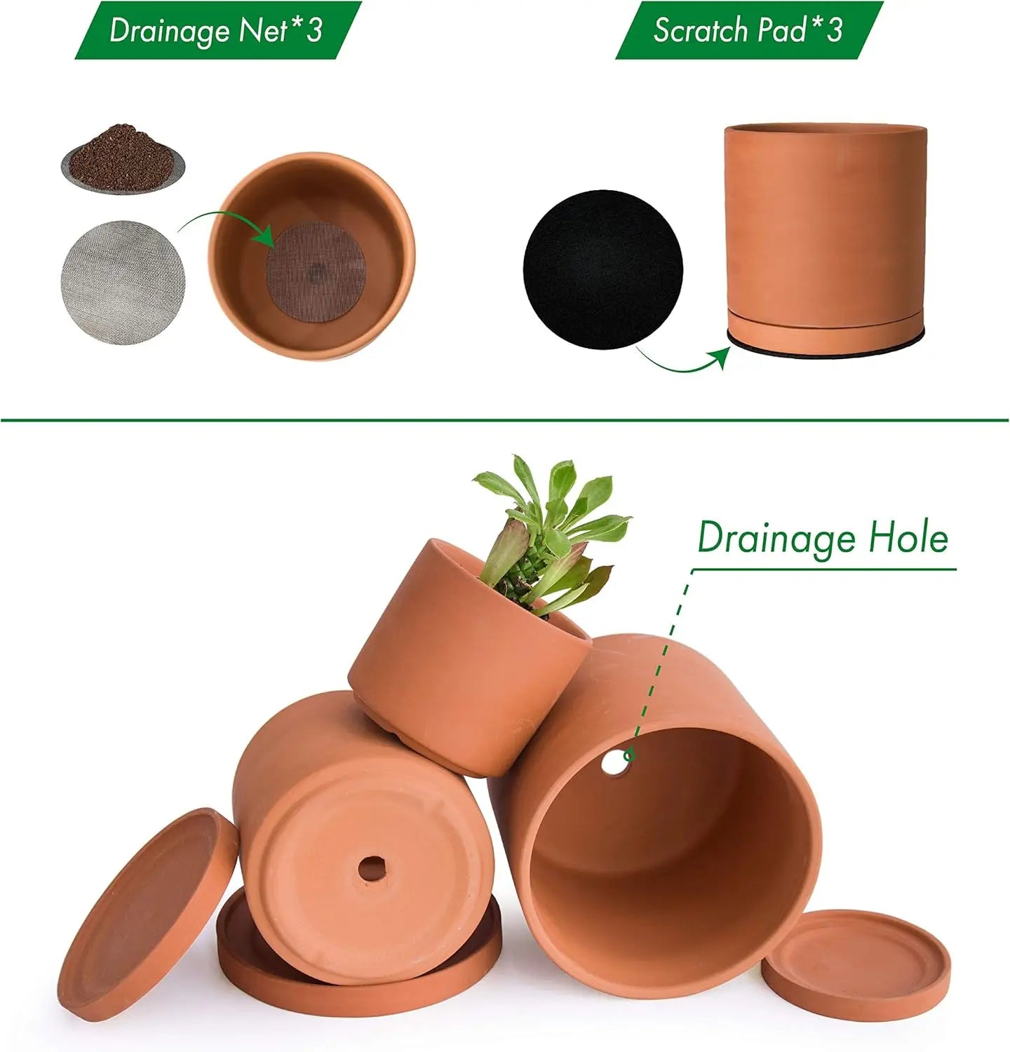 Terracotta Plant Pots With Saucer For Succulents And Cacti