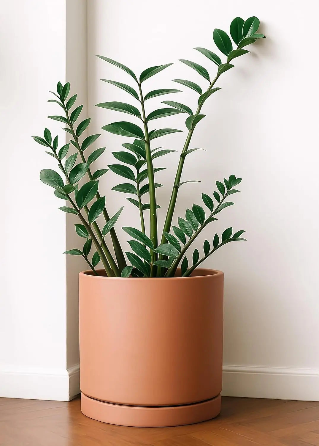 Terracotta Indoor Plant Pot With Drainage Hole And Saucer