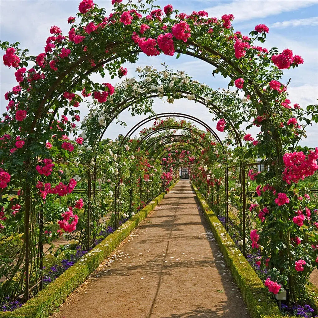 Durable Metal Garden Arch Trellis For Climbing Plants