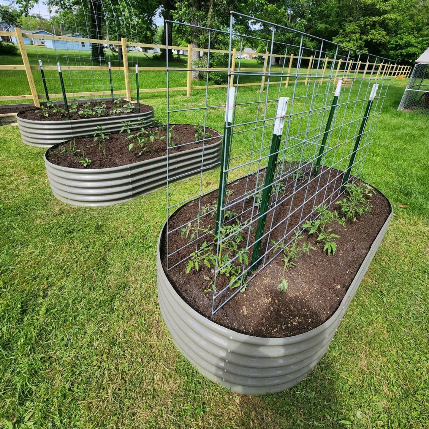 Tramull Galvanized Oval Raised Garden Bed Planter