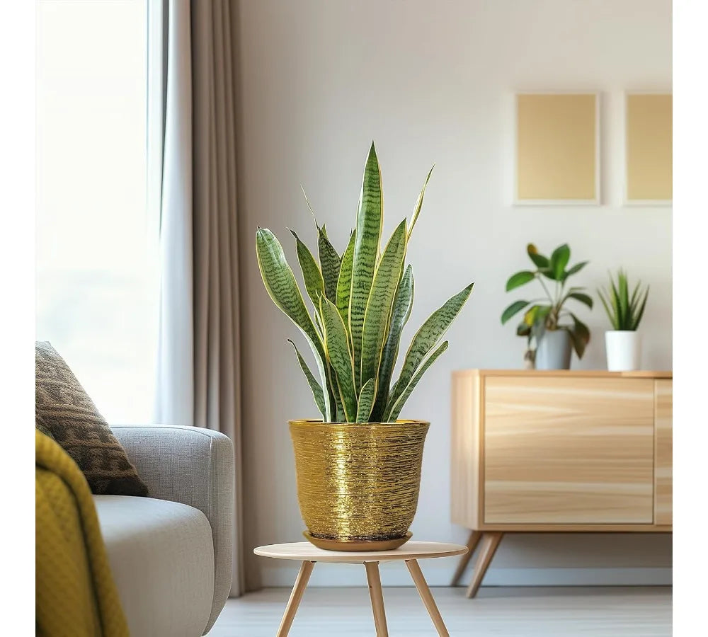 Ceramic Plant Pot With Drainage Hole And Saucer For Indoor Outdoor Plants