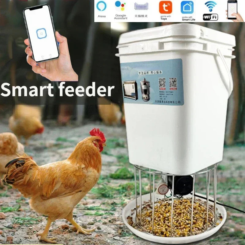 Farm Animals Automatic Chicken Feeder Pigeon Duck Carrier With Intelligent Timing