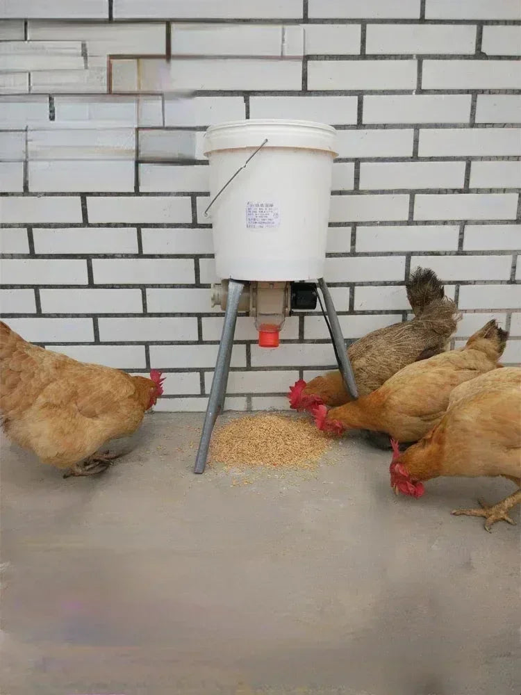 Farm Animals Automatic Chicken Feeder Pigeon Duck Carrier With Intelligent Timing