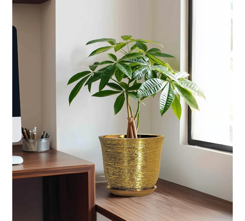 Ceramic Plant Pot With Drainage Hole And Saucer For Indoor Outdoor Plants