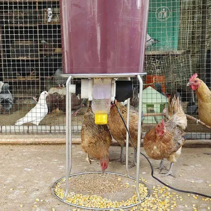 Farm Animals Automatic Chicken Feeder Pigeon Duck Carrier With Intelligent Timing