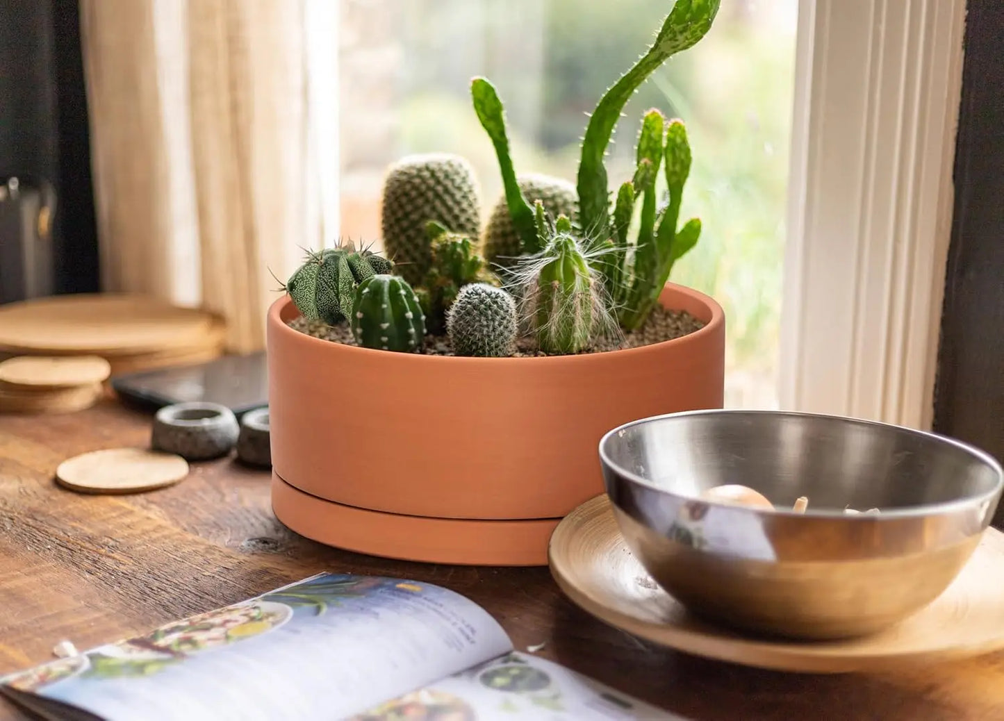 Terracotta Planter Pot With Drainage Hole And Saucer For Succulents