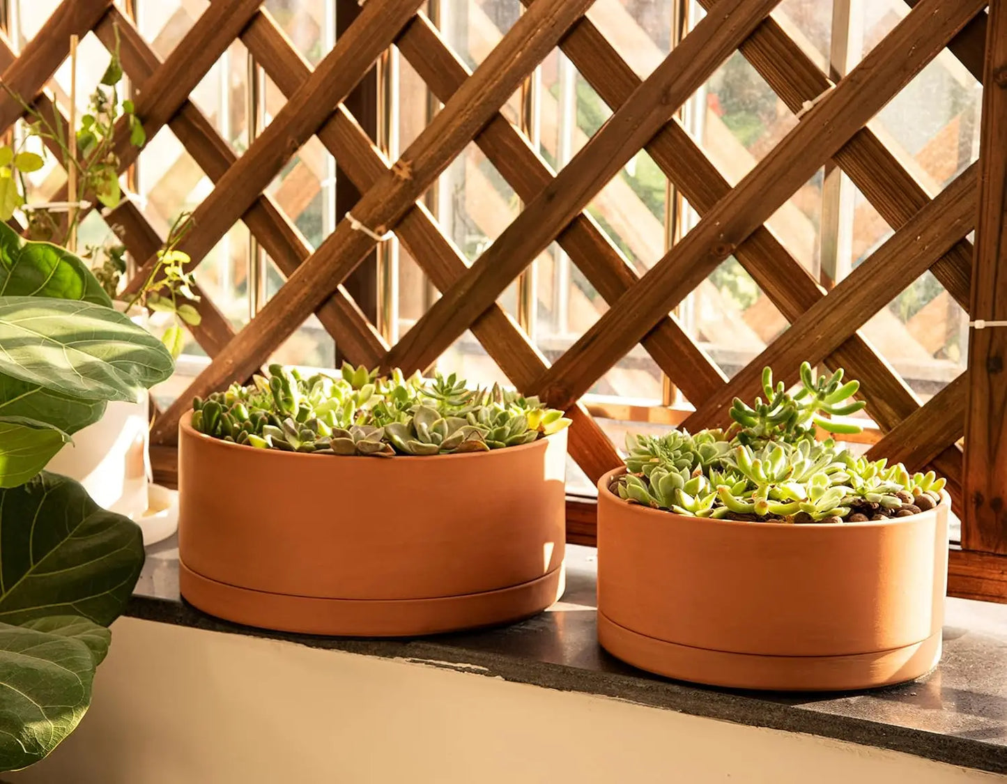 Terracotta Planter Pot With Drainage Hole And Saucer For Succulents
