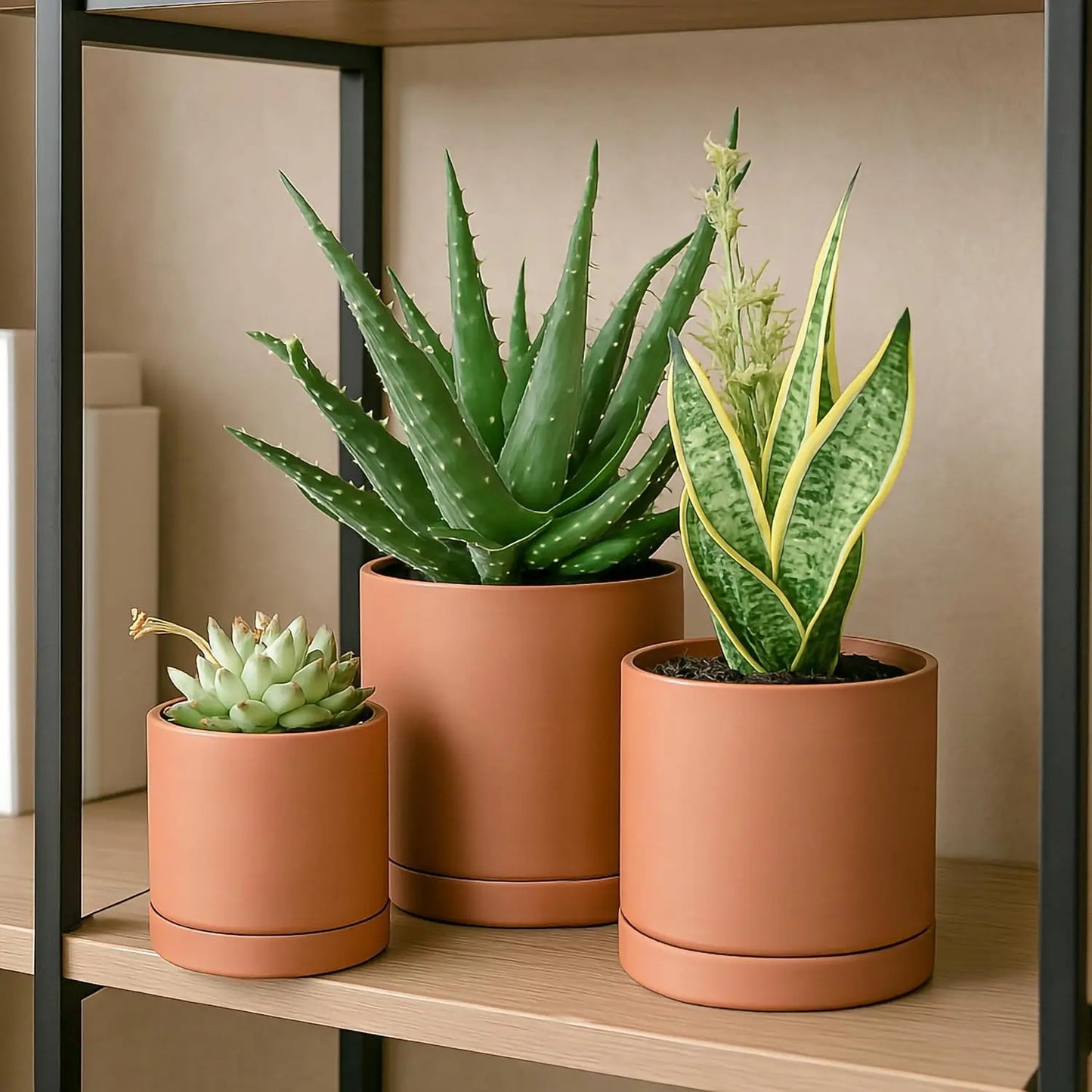 Terracotta Plant Pots With Saucer For Succulents And Cacti