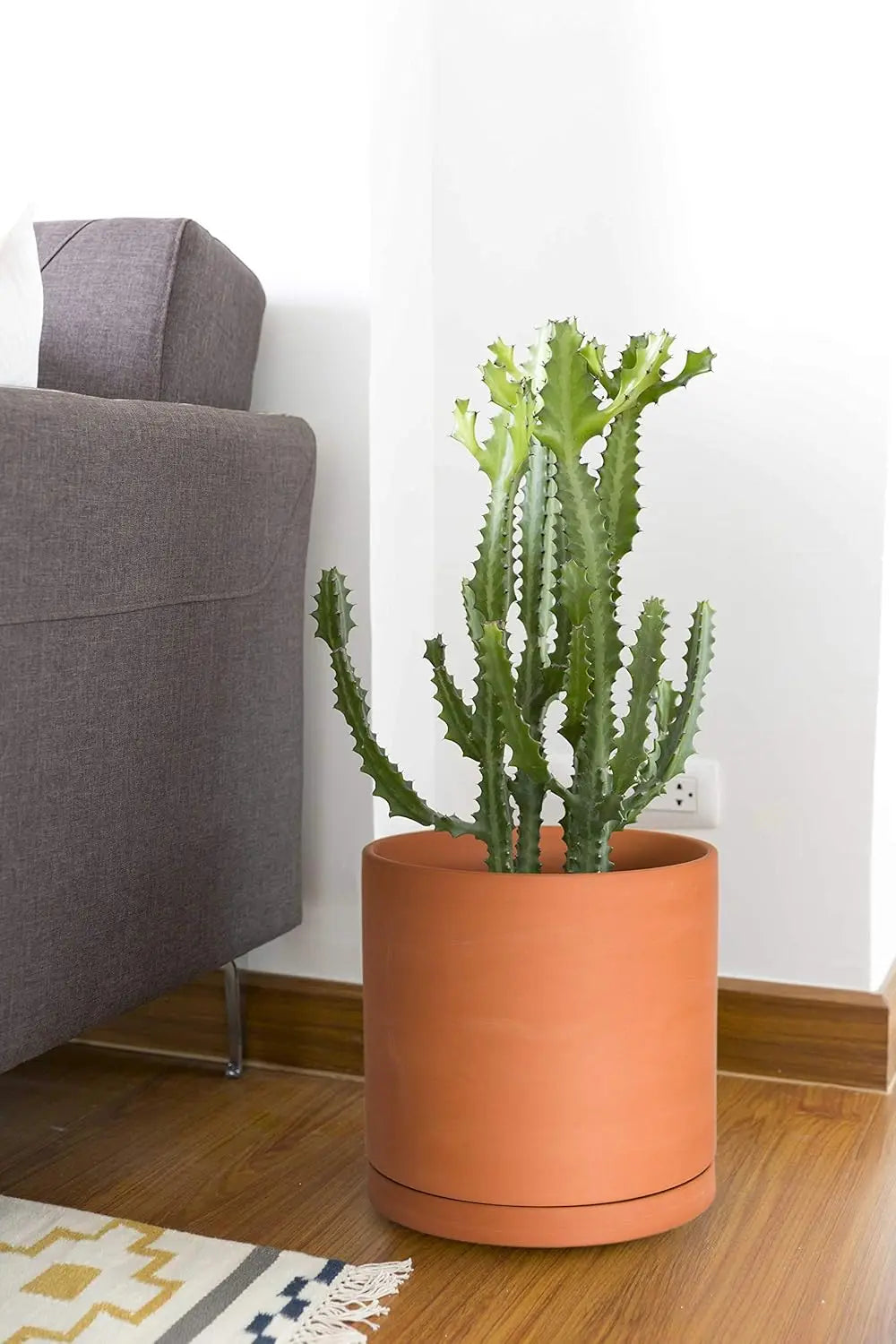Terracotta Indoor Plant Pot With Drainage Hole And Saucer