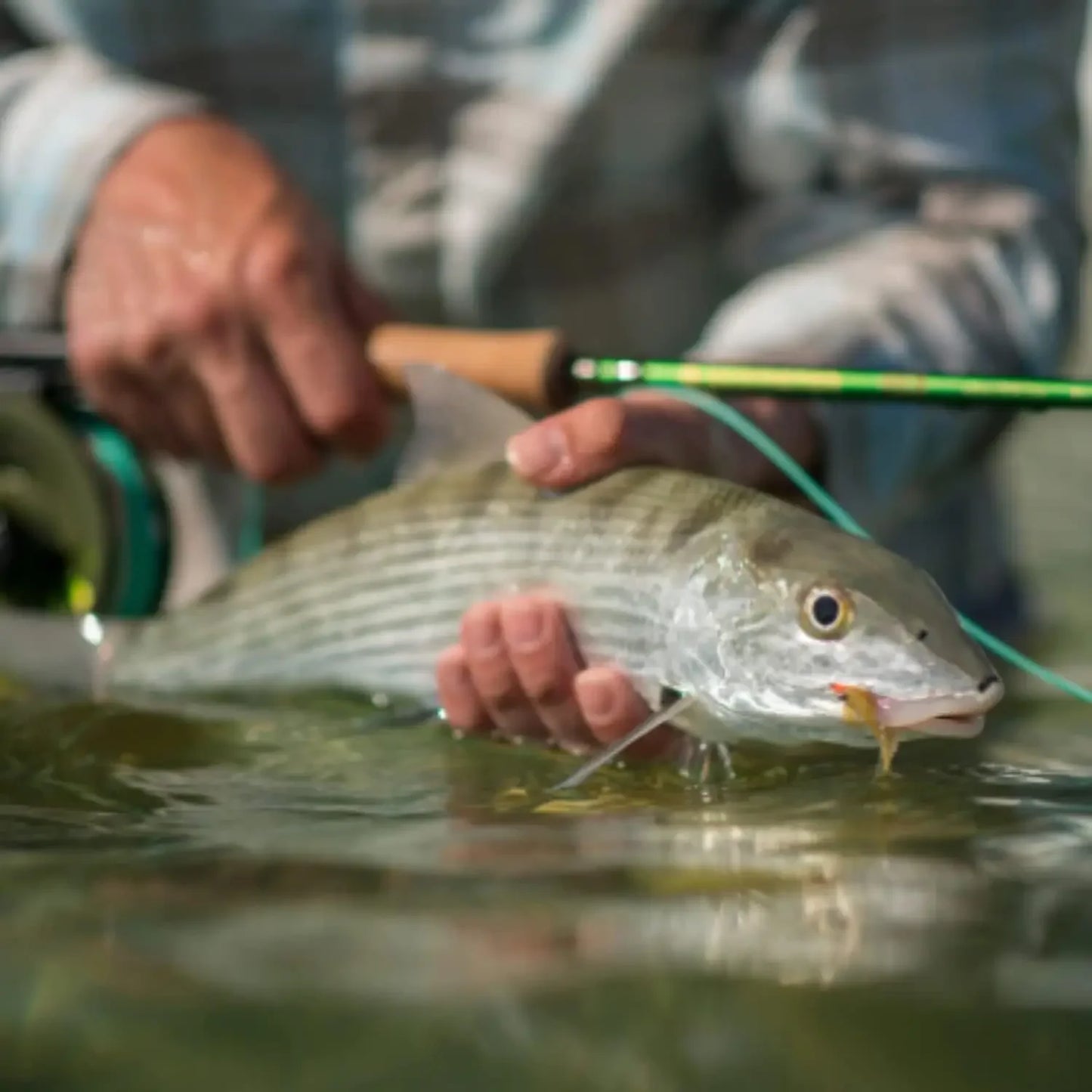 Crux Fly Fishing Rod With Tube Line Speed Taper Angled Grip