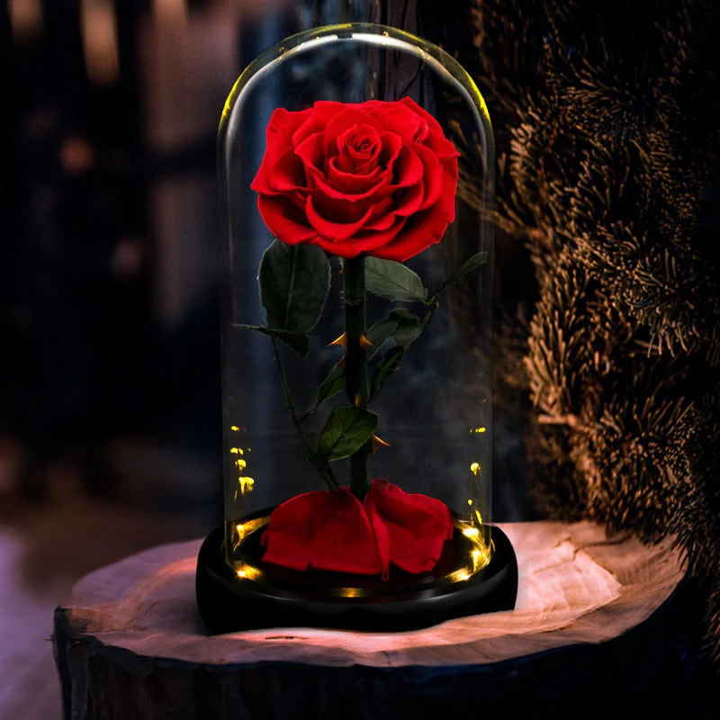 Forever Preserved Glass Rose With LED Light Valentines Day Gift