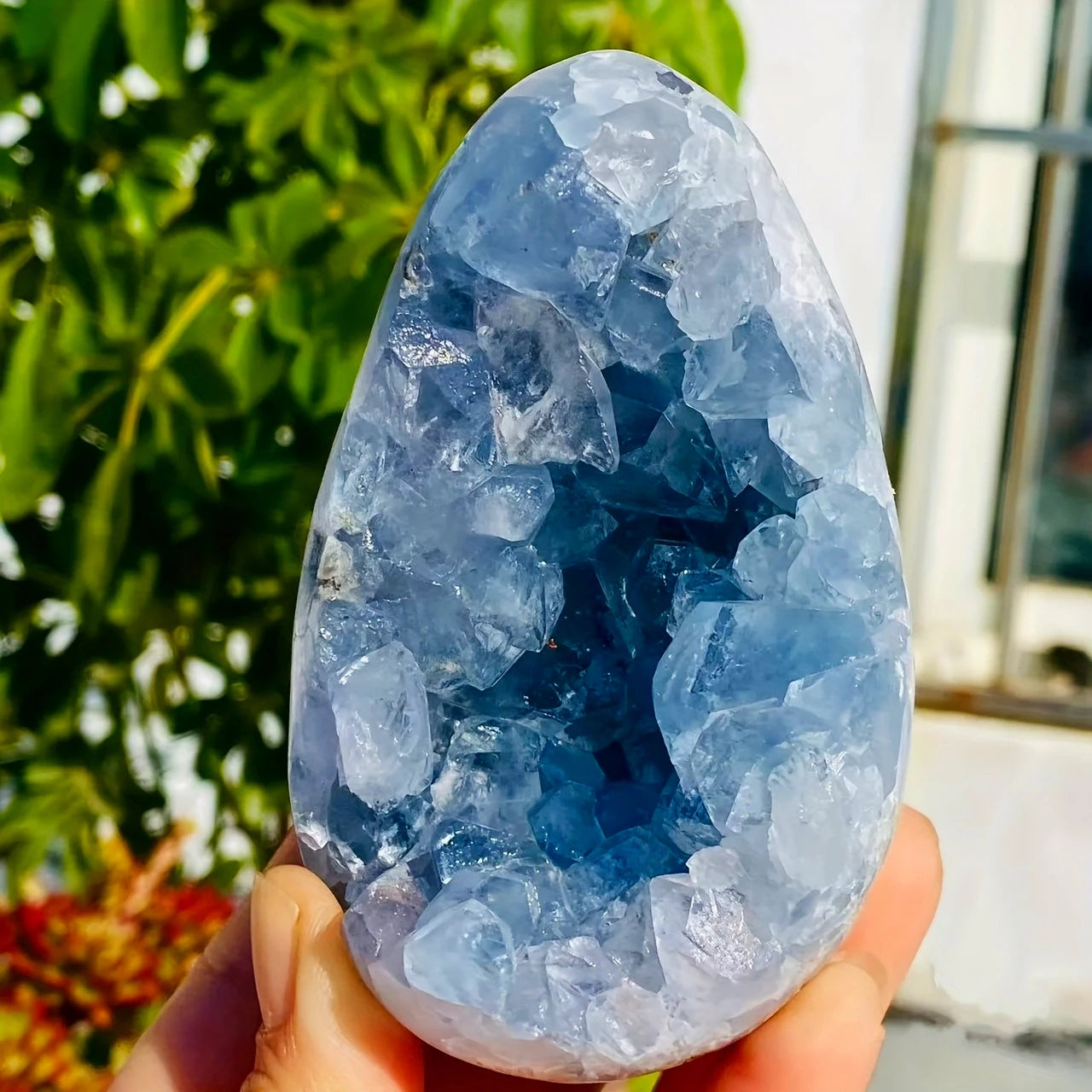CrystalHola Celestite Geode Cluster Healing Crystal Stones