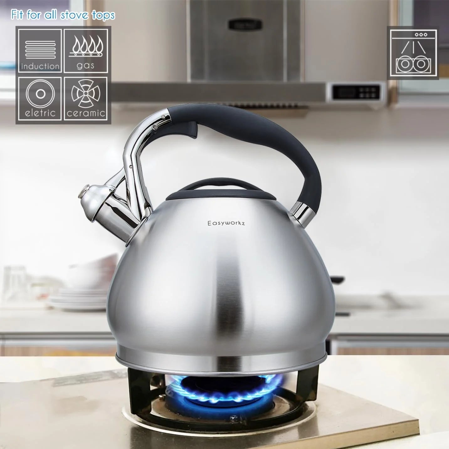 Easyworkz Whistling Stovetop Kettle Stainless Steel Tea Pot