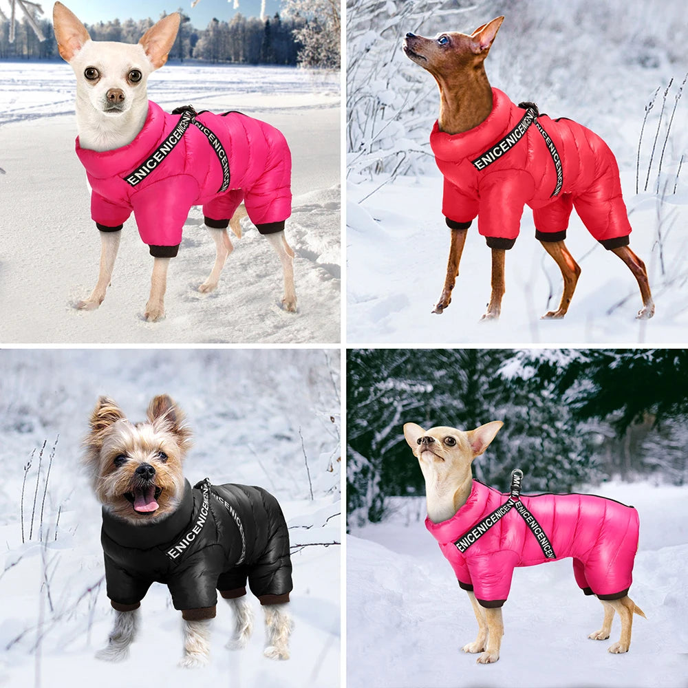 Pet Artist Warm Waterproof Dog Coat With Adjustable Harness