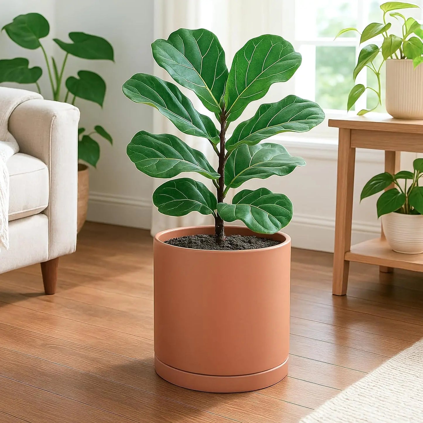Terracotta Indoor Plant Pot With Drainage Hole And Saucer